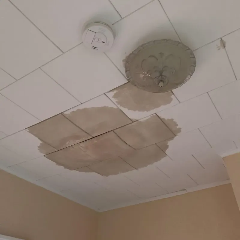 Ceiling Water Damage Repair in Lemont, PA