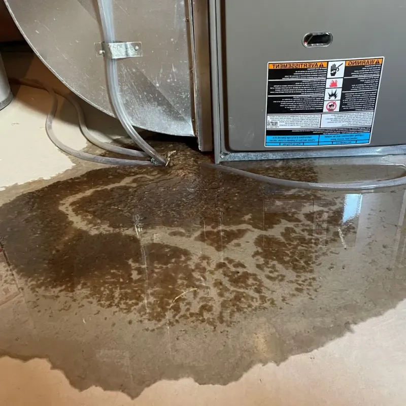 Pipe Burst and Leak Restoration in Lemont, PA
