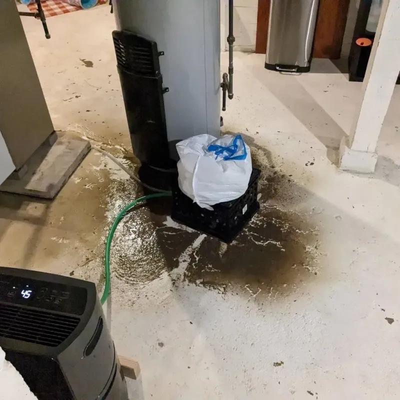 Sewage Backup Cleanup Service in Lemont, PA